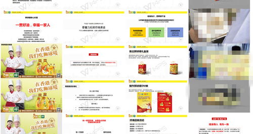 獅球嘜品牌策劃公司整合營銷推廣方案