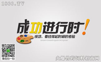 經(jīng)銷商成功營銷的三個標(biāo)準(zhǔn)與落地實(shí)踐